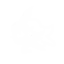 Thousand Shade Dance